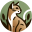 savannah.fr favicon
