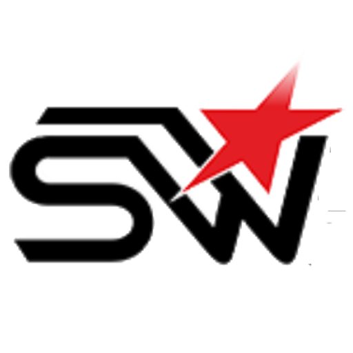 sw-exclusiv.de favicon