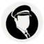 chauffeurforce.co.uk favicon