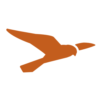 easycamp.com favicon