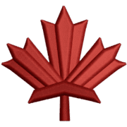 embroiderydigitizing.ca favicon