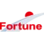 fortuneenergy.net favicon