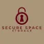 securestoragearkansas.com favicon