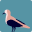 sonomad.com favicon