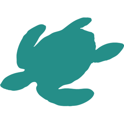 turtlebay.co.uk favicon