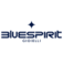 bluespirit.com favicon