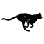 impori.de favicon