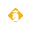 learnchess.co.uk favicon