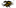 loewensport.com favicon