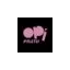 opificioprato.it favicon