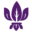 parkregisbirmingham.co.uk favicon