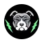 pitbet.io favicon