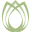 buddingdesigns.co.uk favicon