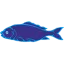 Fiskehuset Gilleleje favicon