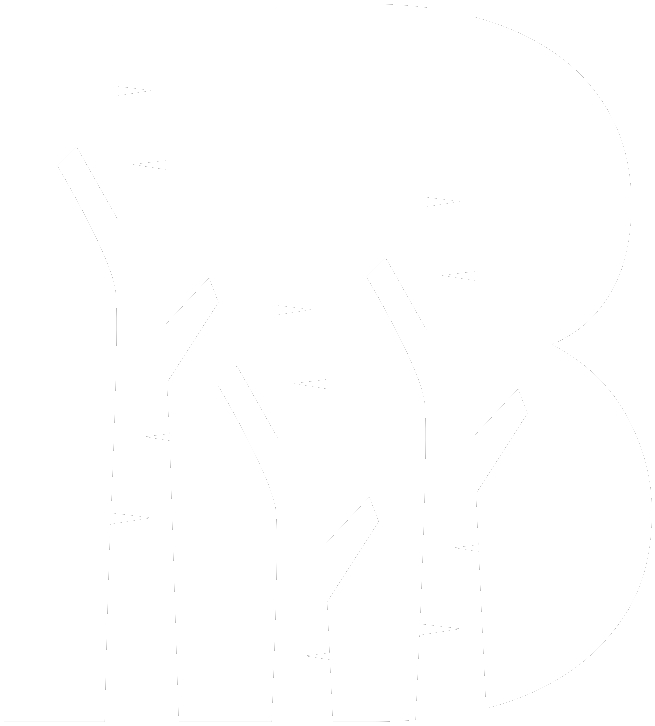 birchlending.com favicon