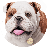 churchill.com favicon