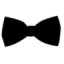 gammatraffic.com favicon