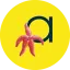 hotel-atlantis-royan.com favicon