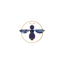 labeillebleue.fr favicon