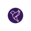 laserina.de favicon