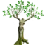 miracletrees.org favicon