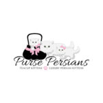 pursepersians.com favicon