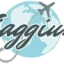 viaggium.com favicon