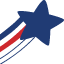 americanriskins.com favicon