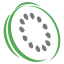 kiwi-home.com favicon