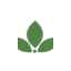 sheaclass.com favicon