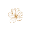 vetement-champetre.com favicon