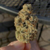 weeddeliveryaus.com favicon