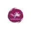 brazilianbotanicals.com favicon