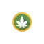 buenavita.eu favicon