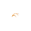 licensedtradeinternational.com favicon