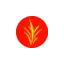 oatsafrica.com favicon
