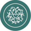 chilternwellbeing.com favicon