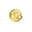 coolkidsbklyn.com favicon
