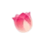 eliteturkeytours.com favicon