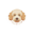 happypawsdoodle.com favicon