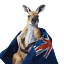 kangaroo8888.com favicon