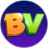 bingovillage.com favicon