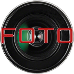 flashfotovideo.dk favicon