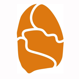 sidestone.com favicon
