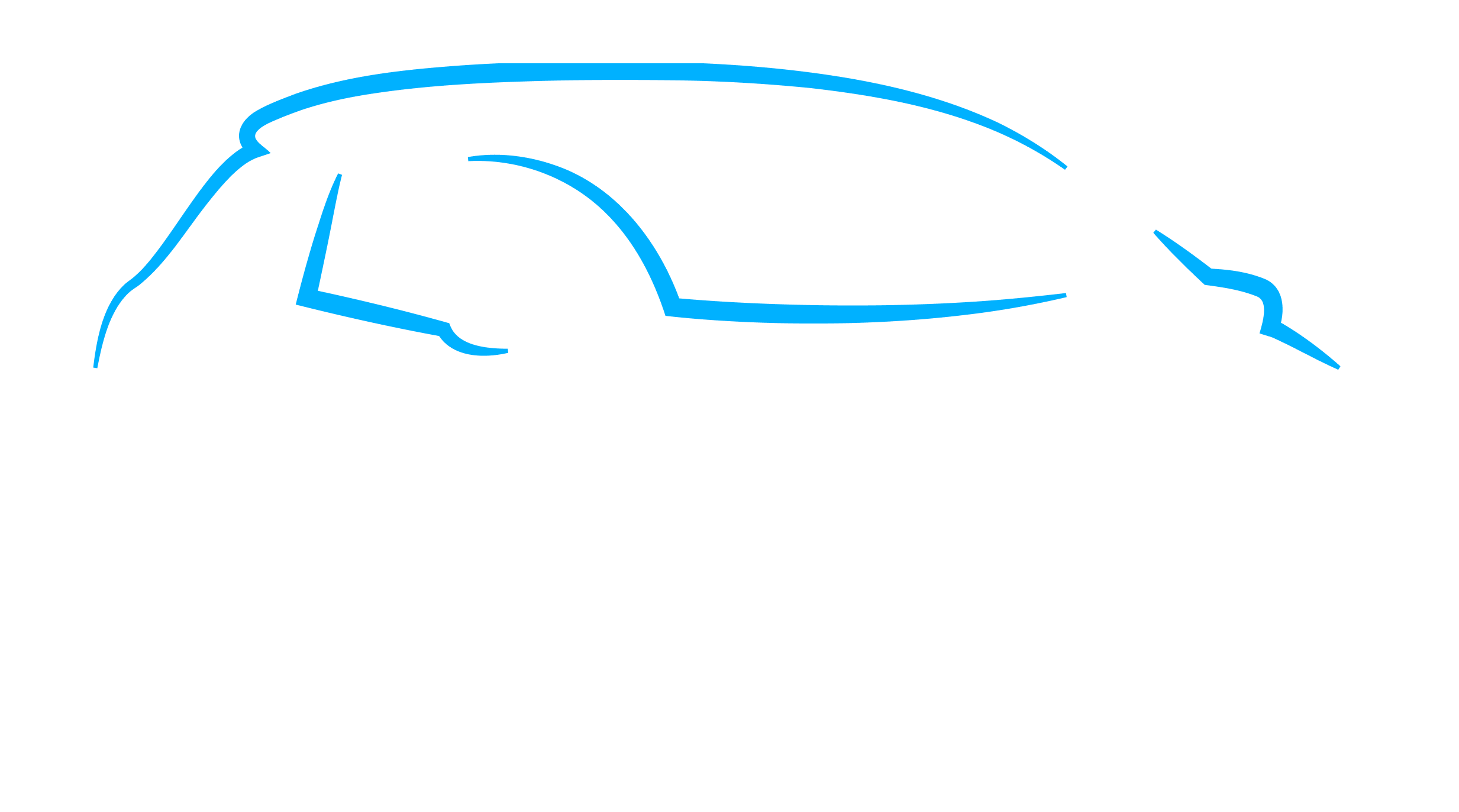vansteijnminicars.nl favicon