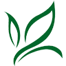 biggestleaftravel.com favicon