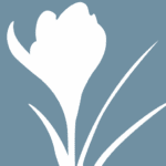 ifa.willsongrange.co.uk favicon