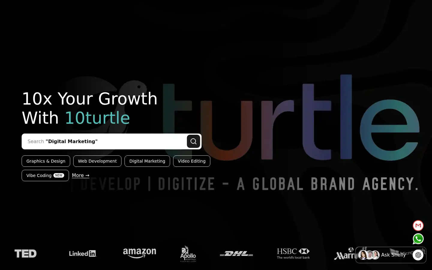 Screenshot of 10turtle.com