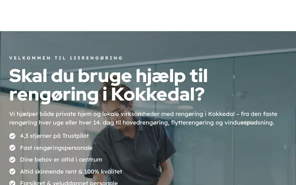 Screenshot of 123rengoring.dk