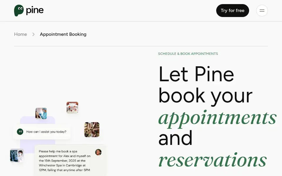 Screenshot of 19pine.ai